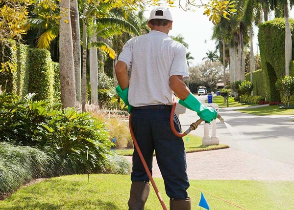 About New Britain CT Pest Control